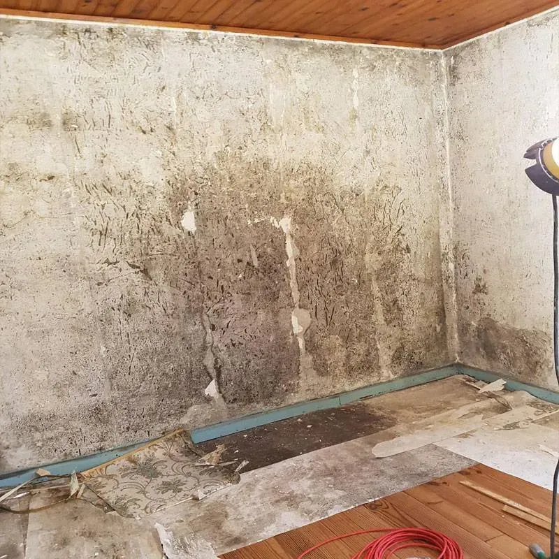 Peintures de maisons