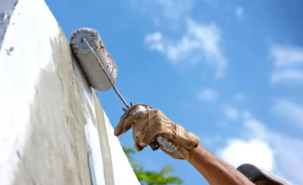 Peintre près de Moliets-et-Maa